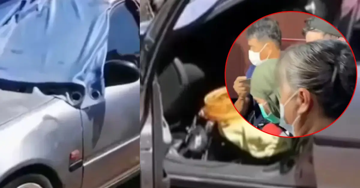 พ่อเลี้ยงน้องสายฟ้า