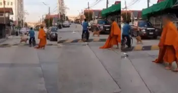 พิตบูลกัดพระ