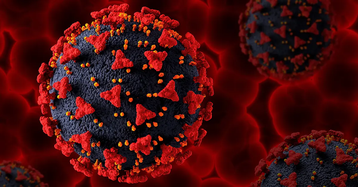 โอมิครอน ปก