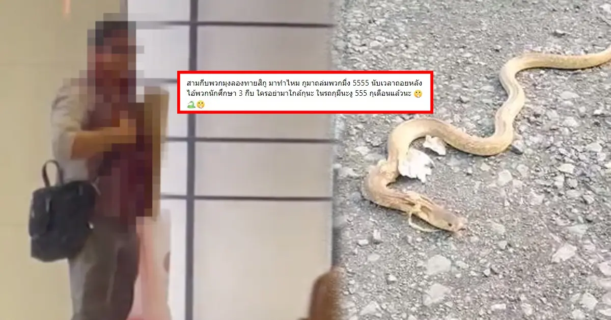 เคร้อยล้าน มธ ปก