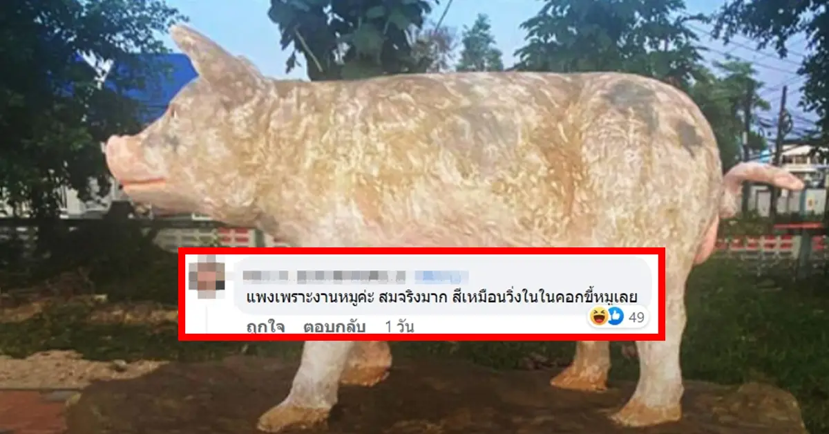 งานหมู ปก