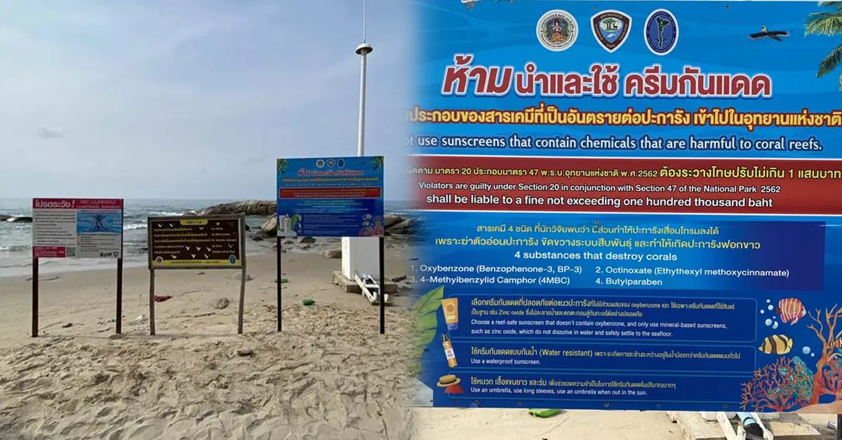 ป้าย ห้ามทาครีมกันแดด ปก