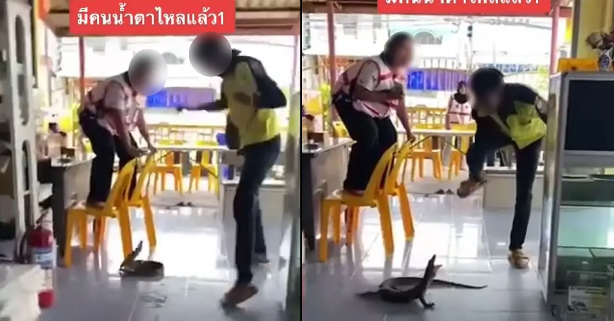 ตัวเงินตัวทองหลุด