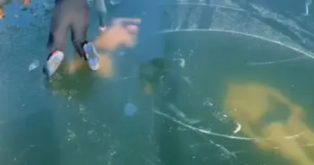 ว่ายน้ำในน้ำแข็ง