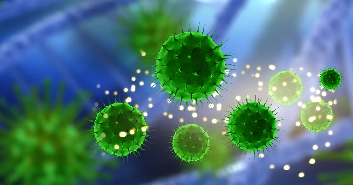 โอมิครอน ปก