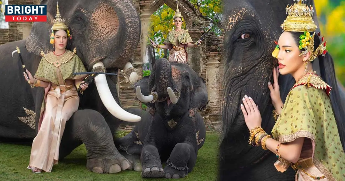 นัท นิสามณี