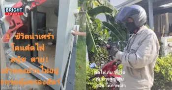 บ้านโดนตัดไฟทำให้หมาตาย