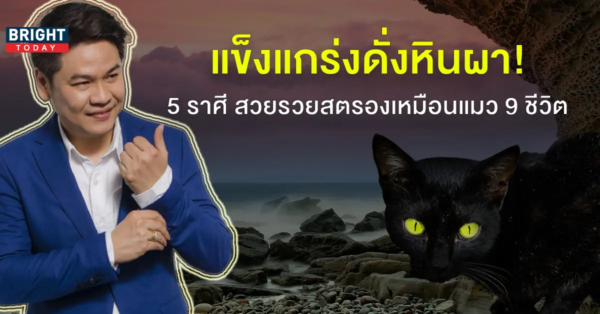 หมอบอย