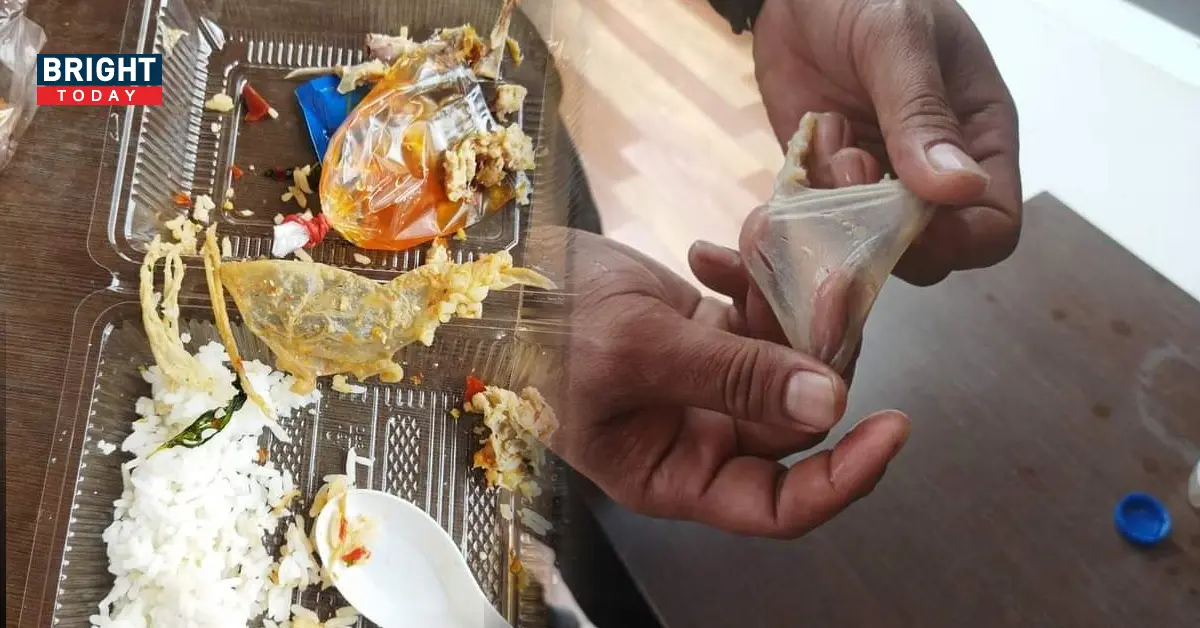 หนุ่มกินกระเพราปลาหมึก