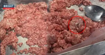 หมูบดในห้าง