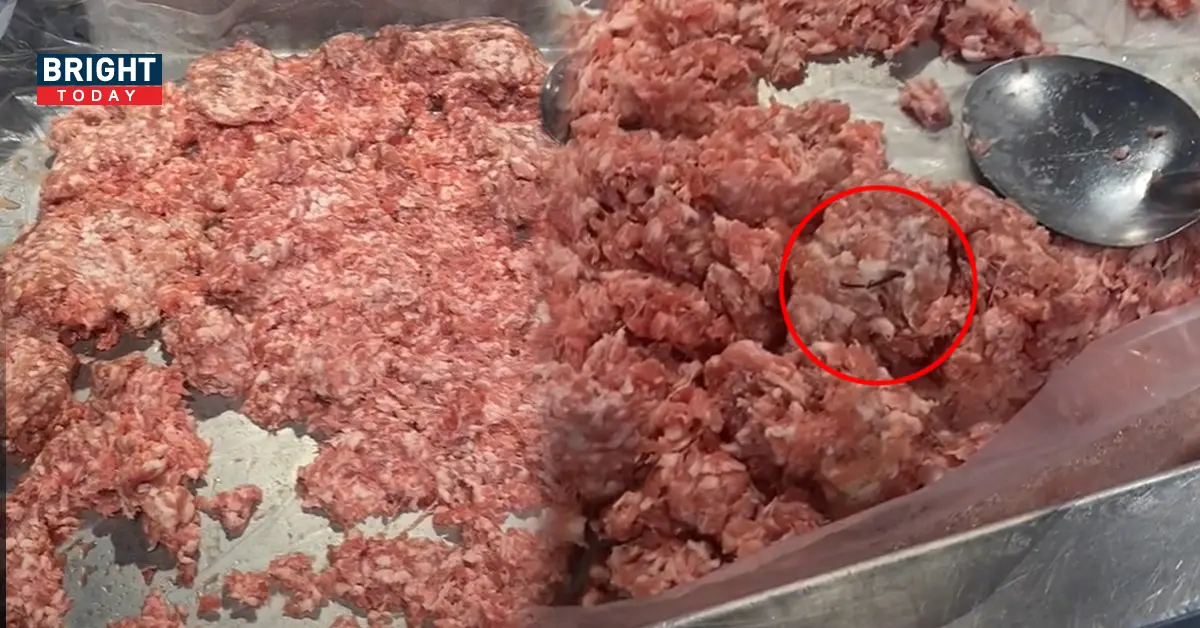 หมูบดในห้าง