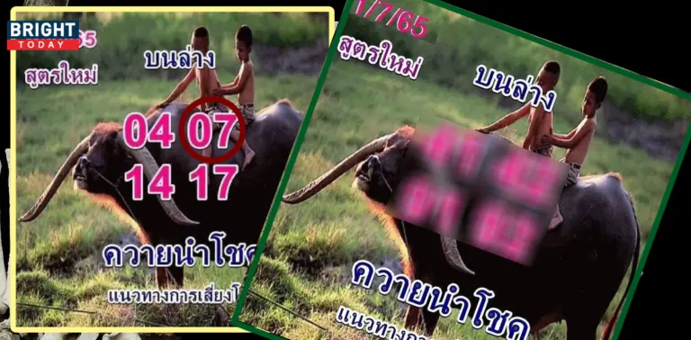 ควายนำโชค