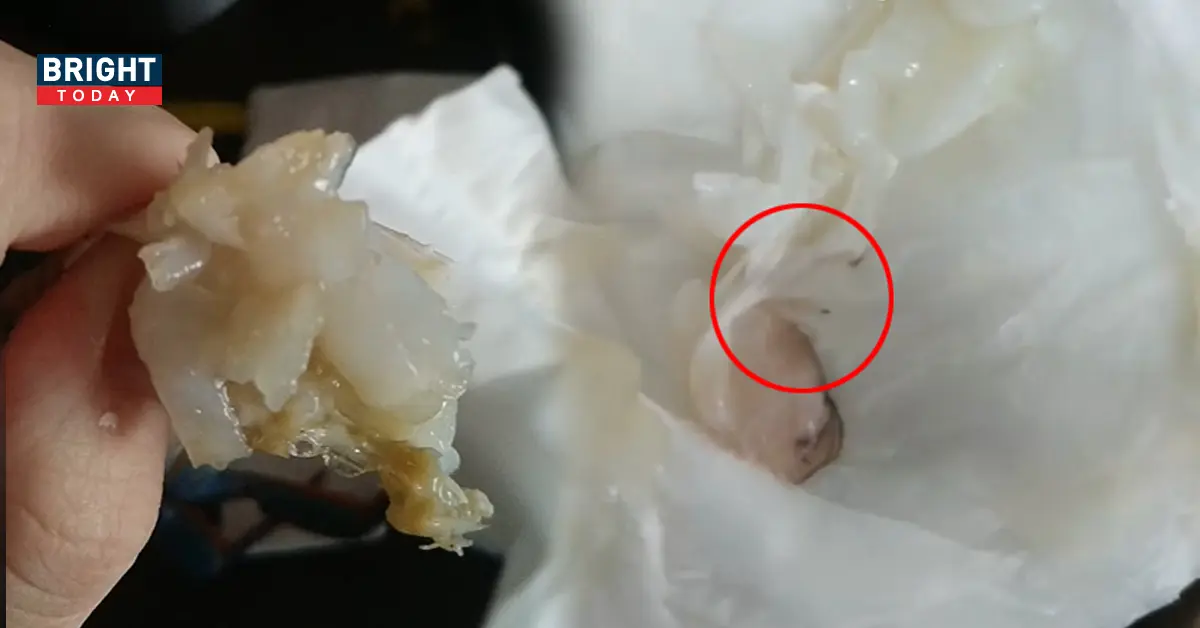 อวสานปูม้าสด