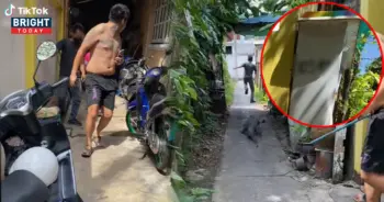 จรเข้น้อยตกใจวิ่งนี้คน