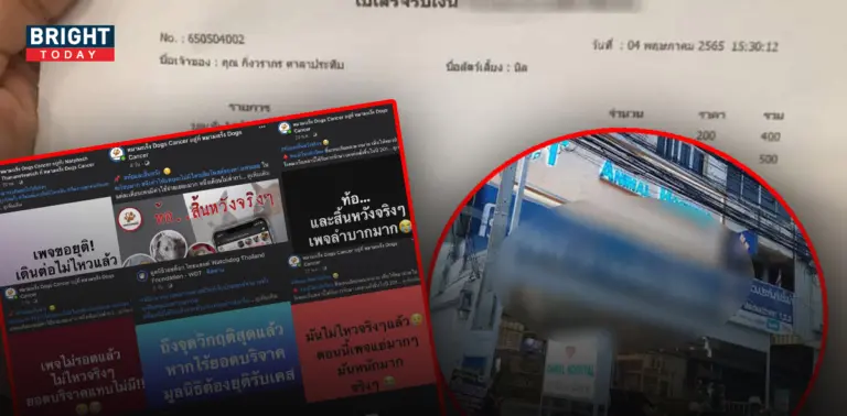 เพจหมามะเร็ง