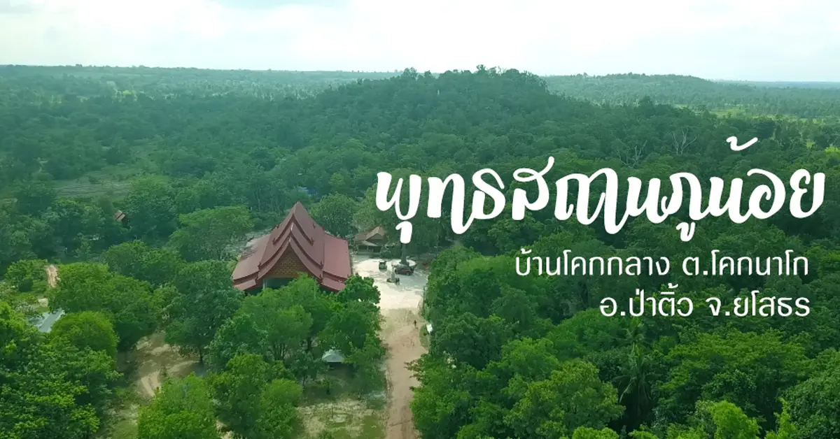 บ้านโคกกลาง ป่าติ้ว