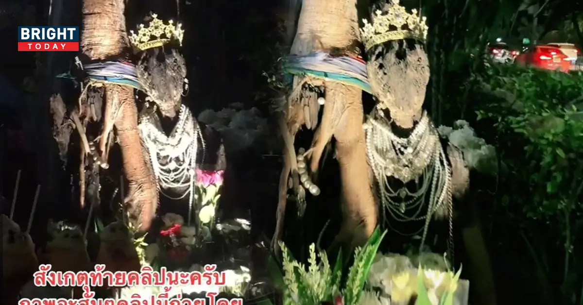 พี่สาว ตุ๊กตาไม้ให้โชค