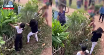 วัยรุ่นรถแห่เขย่ารั้วพังต้นไม้