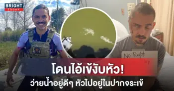 โดนจระเข้งับหัว