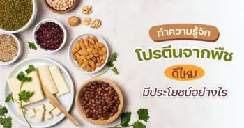 ทำความรู้จัก