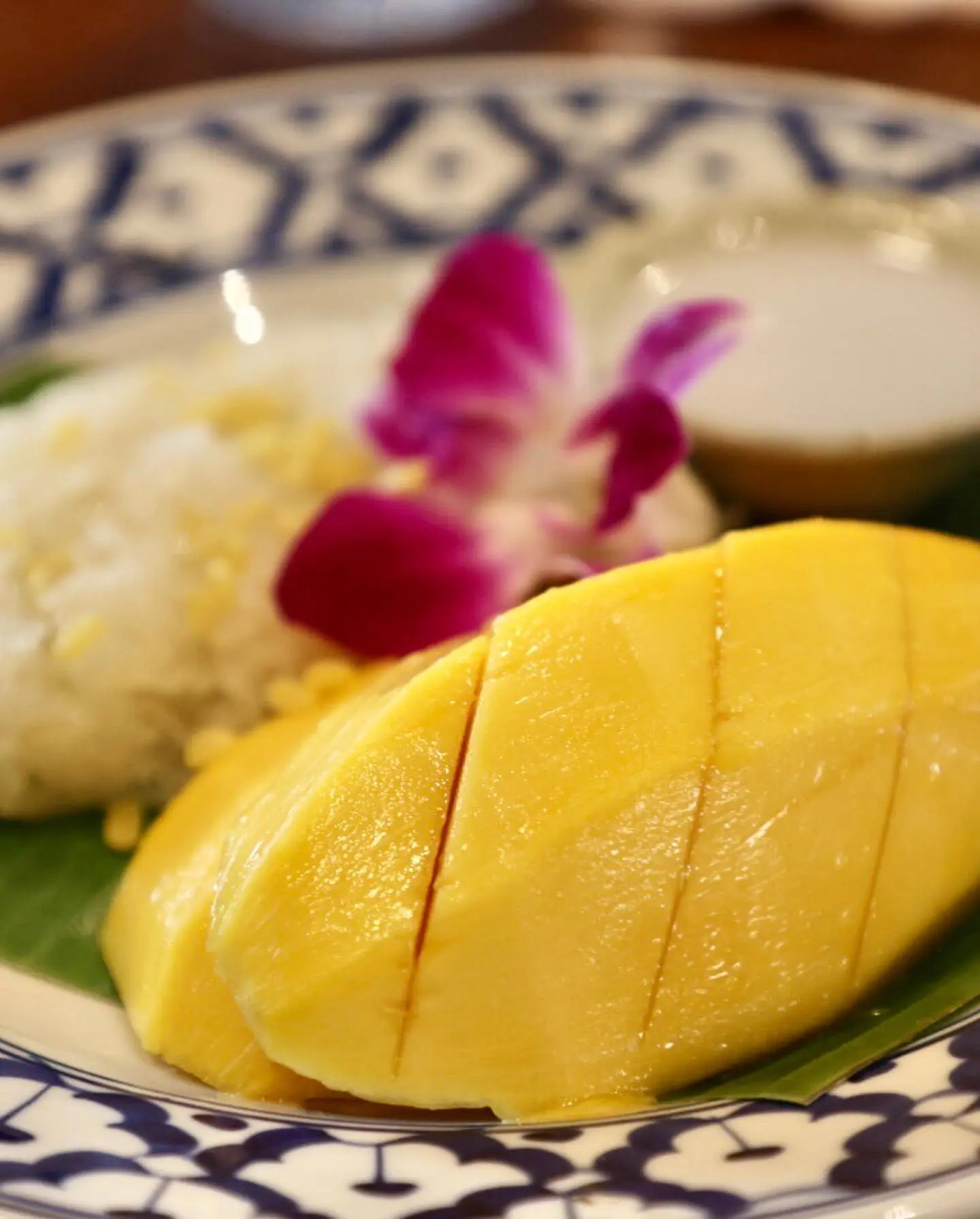 -มิอุระ-8