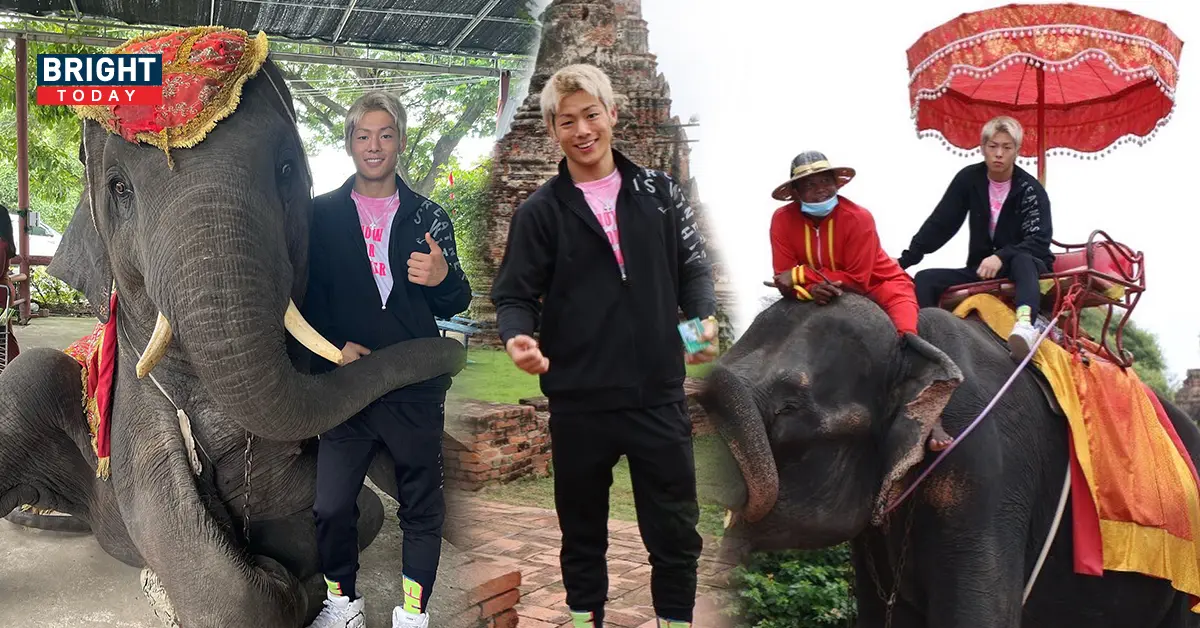 -มิอุระ-2-1