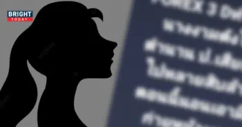 พิงกี้-1