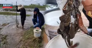 อาชีพจับปลิงขาย