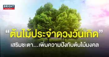 ต้นไม้มงคล ประจำวันเกิด