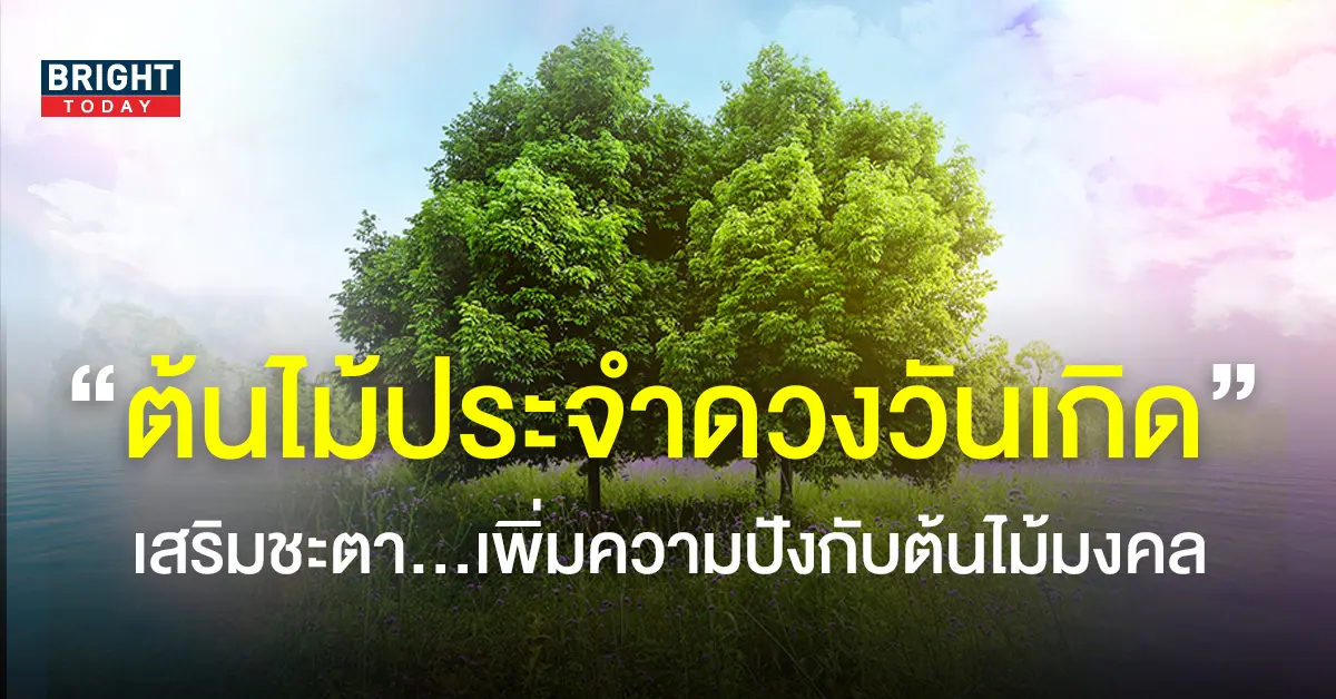 ต้นไม้มงคล ประจำวันเกิด