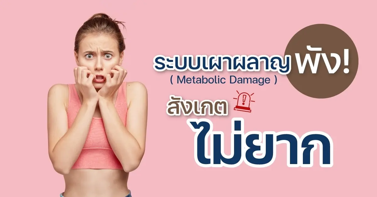 BN SEO Sep03