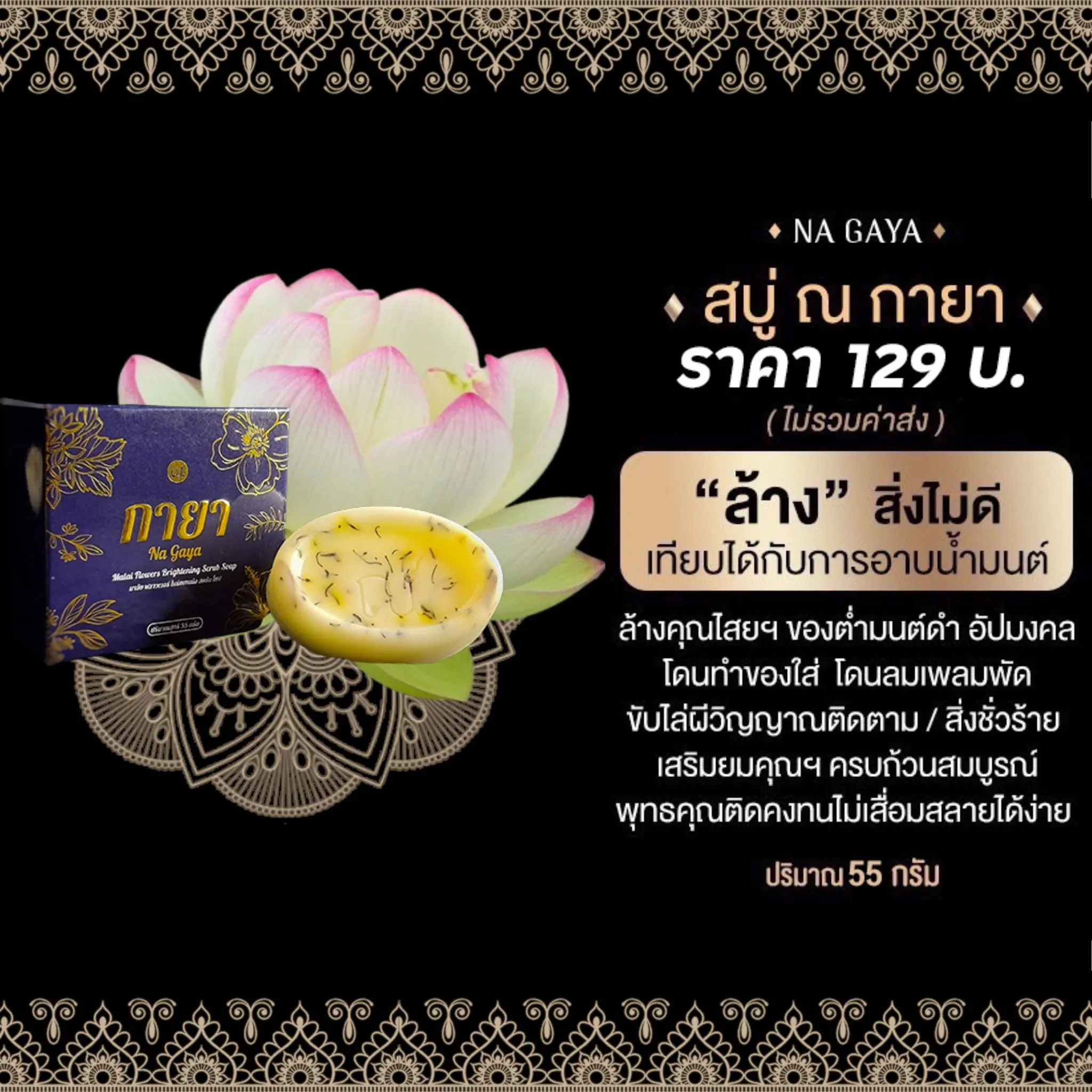 298332506 453950356741537 5100325834453703204 n