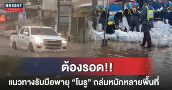 โนรู-6