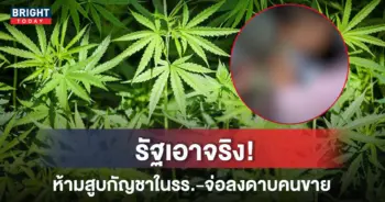 กัญชา