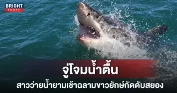 ฉลามขาวขนาดยักษ์
