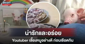 หมูย่าง