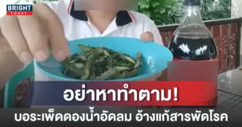 -บอระเพ็ด