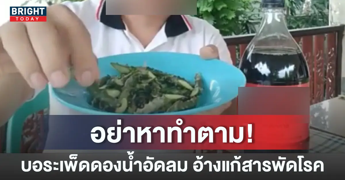 -บอระเพ็ด