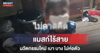 แมสก์ไร้สาย