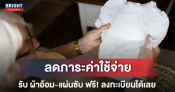 ปกผ้าอ้อม
