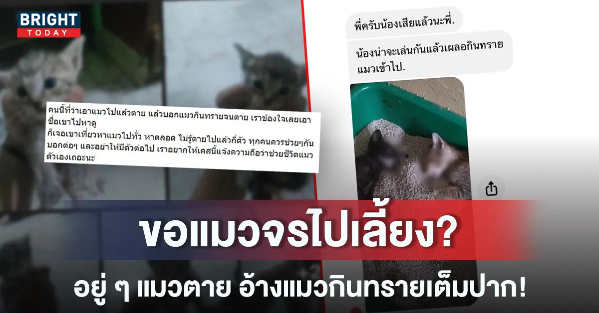 -หน้าปกใหม่