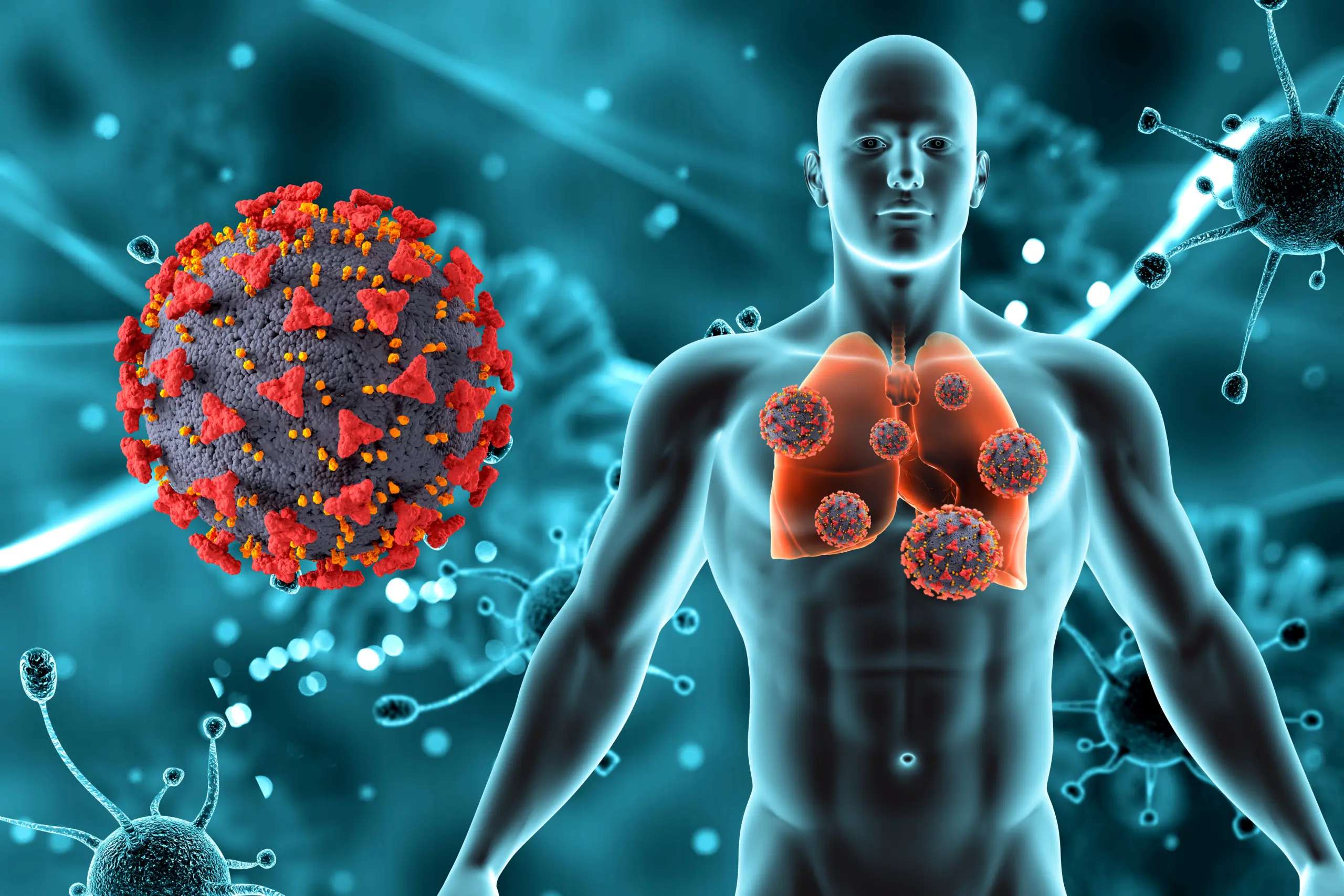 3d-render-medical-background-with-male-figure-lungs-covid-19-virus-cells