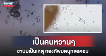 .jpg