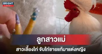 ไก่