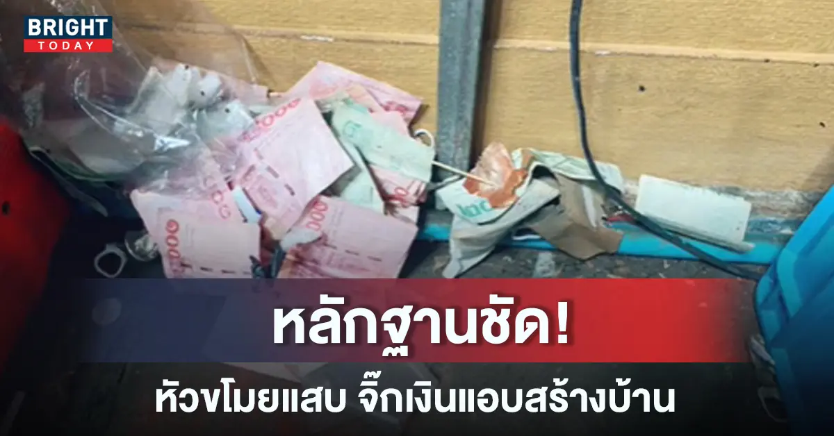 หัวขโมยสุดแสบ แอบจิ๊กเงินทุกวัน