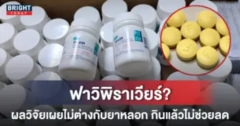 ฟาวิ-หน้าปกใหม่-1