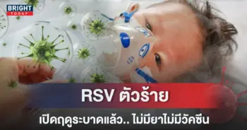 ปกไวรัสRSV