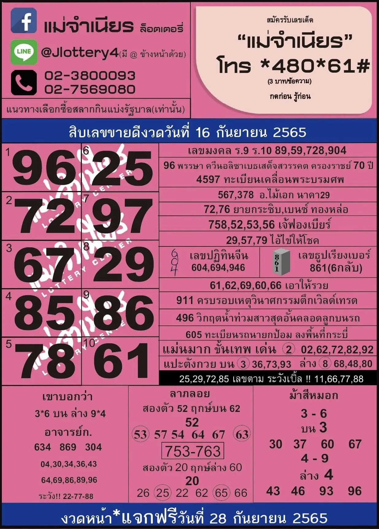 306724164 664192258612458 8111260036975158286 n