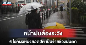 โรคผิวหน้าหน้าฝน-หน้าปกใหม่