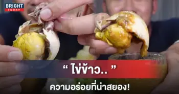ไข่ข้าว-หน้าปกใหม่